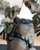Dog Harness Active Velvet Black