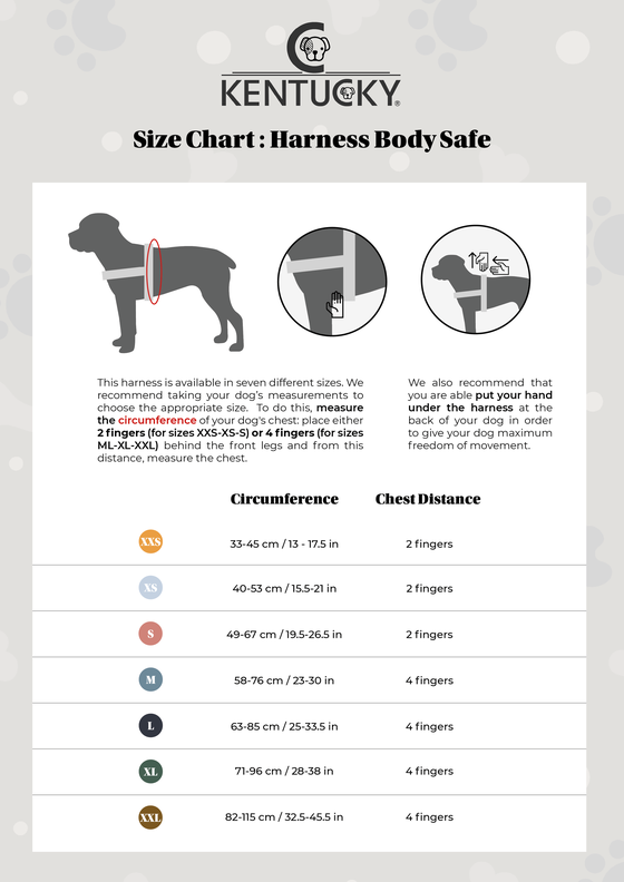Dog Harness Body Safe Beige