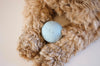 Puppy Play Ball Baby Blue