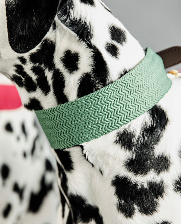Dog Collar Jacquard Olive Green
