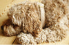 Dog Collar Wool Beige