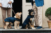 Dog Coat Navy