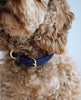 Plaited Nylon Dog Collar Navy
