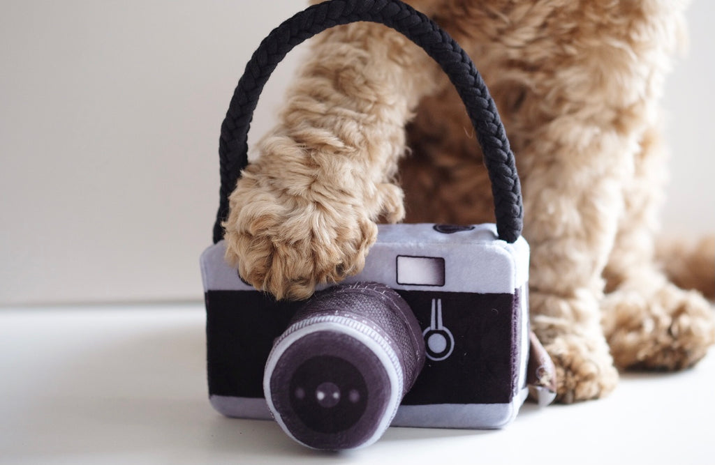 Plush Toy Camera