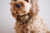 Tweed Dog Collar Beige