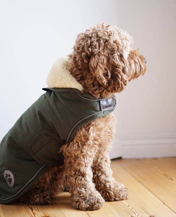 Dog Coat Waterproof